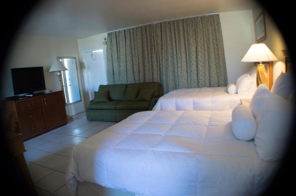 Downtown Hollywood Gardens Inn & Suites Eksteriør billede
